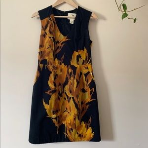 Anthropologie Tabitha dress with pockets